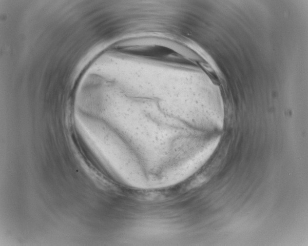 X0000077371101200611171943