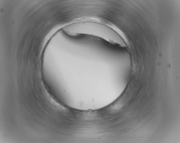 X0000077371102200611171943