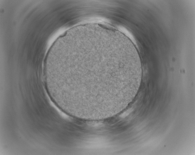 X0000077371103200611171943