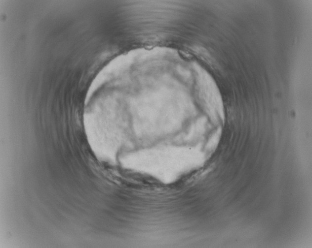 X0000077371106200611171942