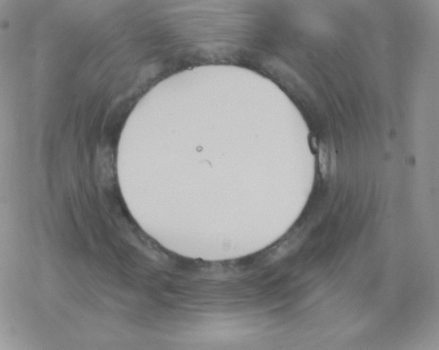 X0000077371107200611171942