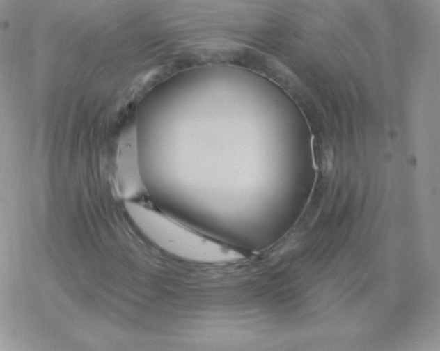 X0000077371108200611171942