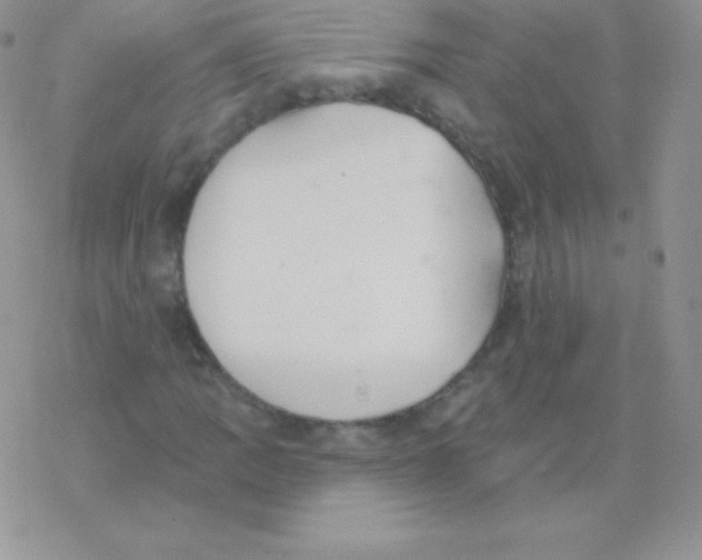 X0000077371109200611171942