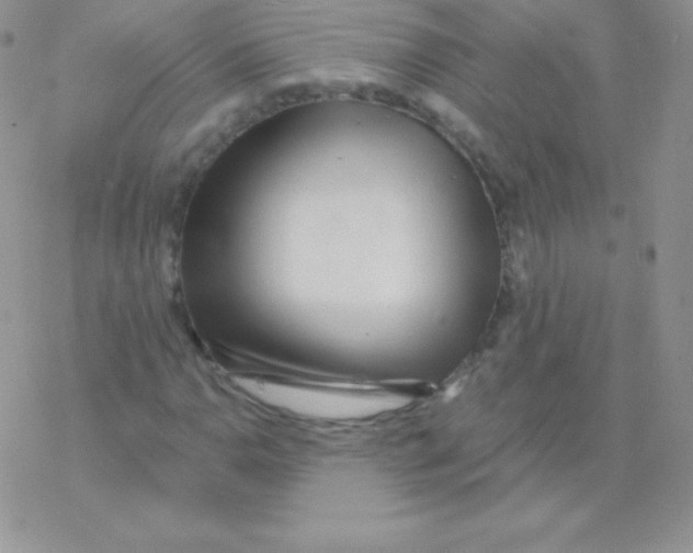 X0000077371110200611171942