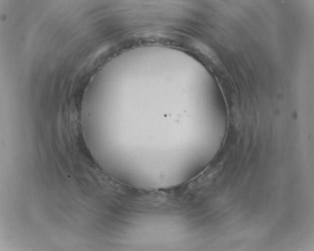 X0000077371111200611171942