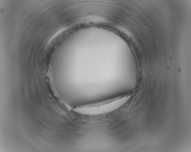 X0000077371112200611171942