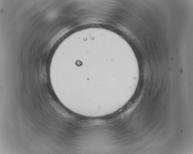 X0000077371113200611171942