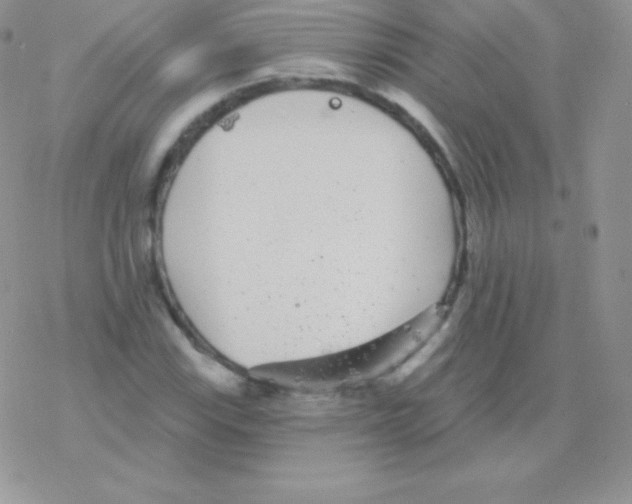 X0000077371115200611171942