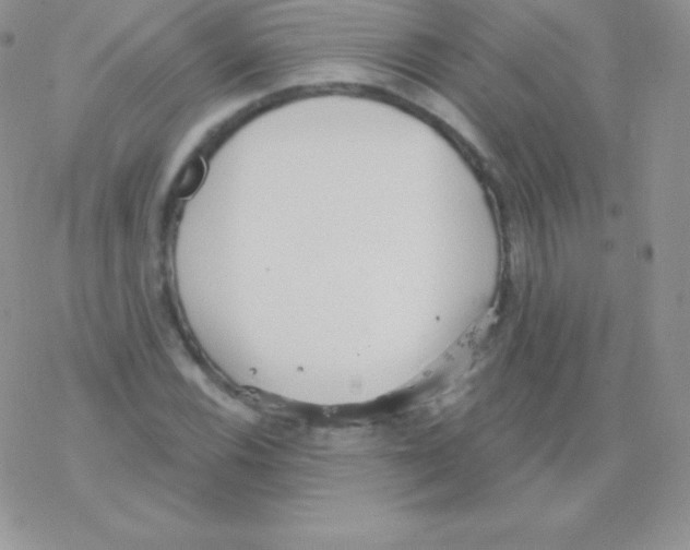 X0000077371116200611171942