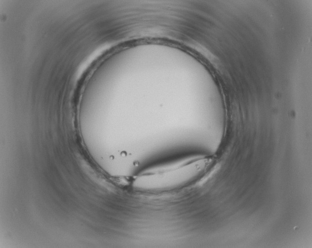 X0000077371118200611171942