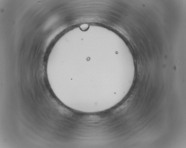 X0000077371119200611171942