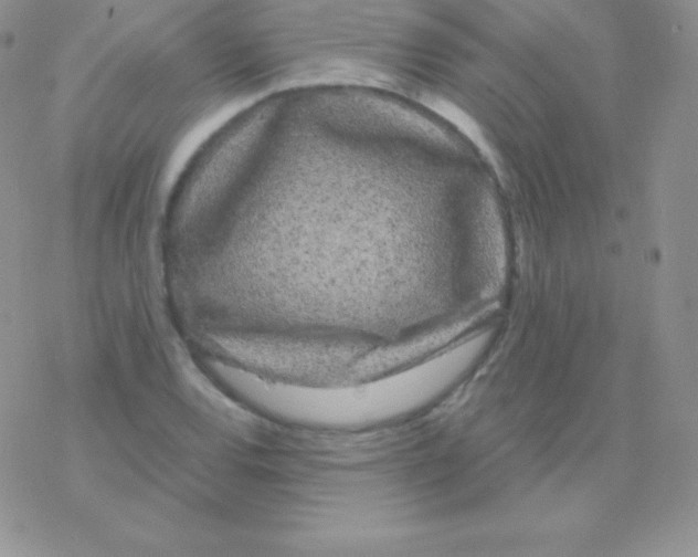 X0000077371120200611171942