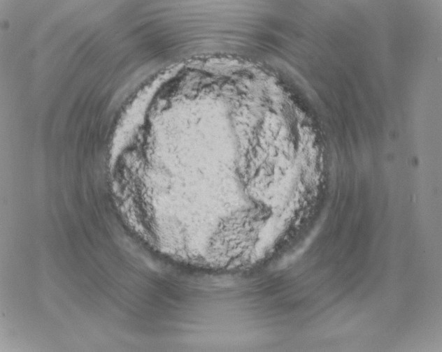 X0000077371121200611171942