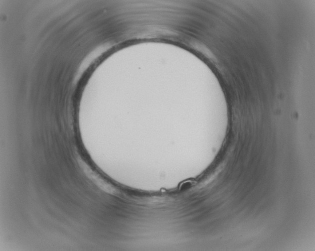 X0000077371122200611171942