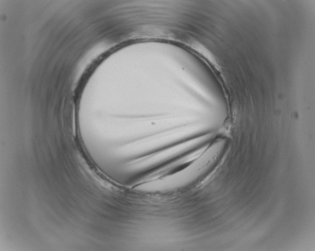 X0000077371123200611171942