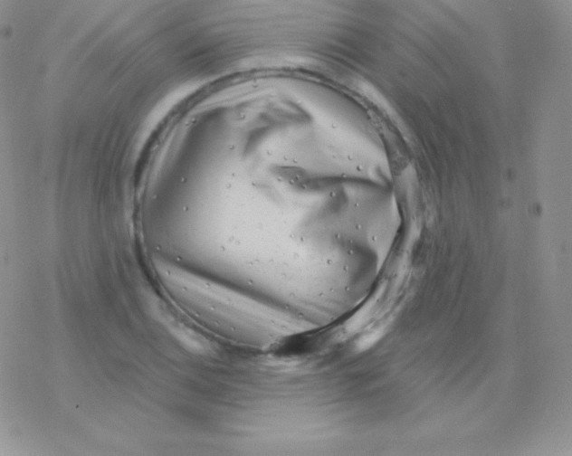 X0000077371124200611171942