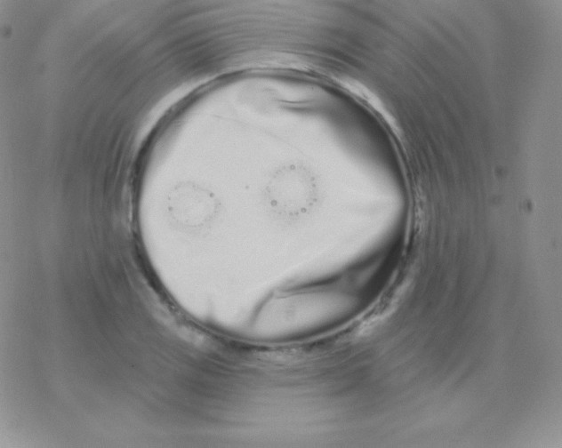 X0000077371125200611171942