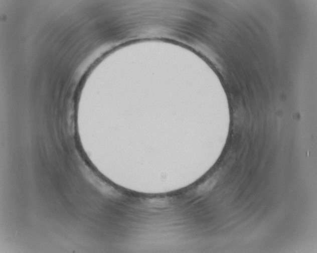 X0000077371126200611171942