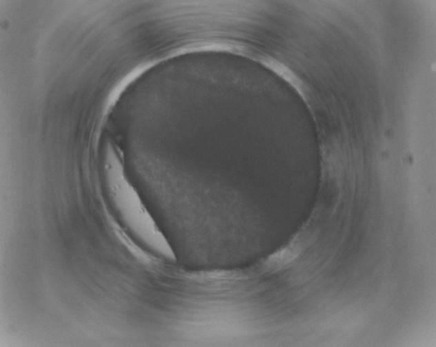 X0000077371127200611171942