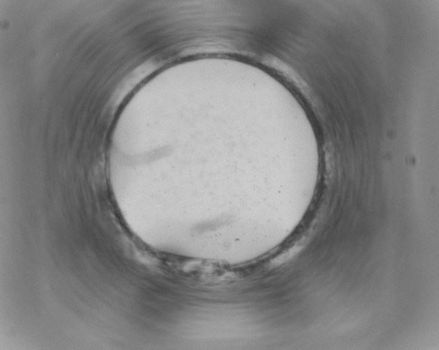 X0000077371129200611171942