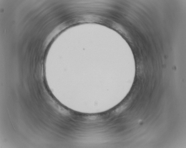 X0000077371130200611171942