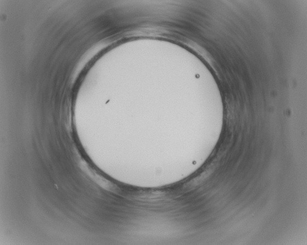 X0000077371131200611171942