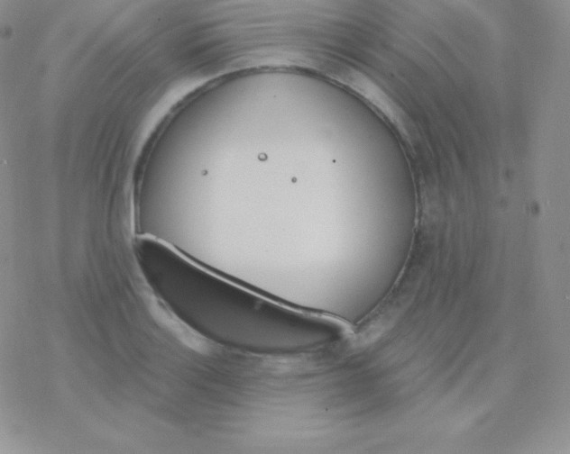 X0000077371132200611171942