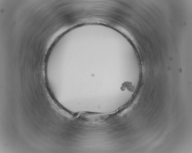 X0000077371133200611171942