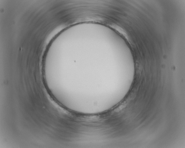 X0000077371135200611171942