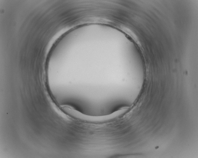 X0000077371136200611171942