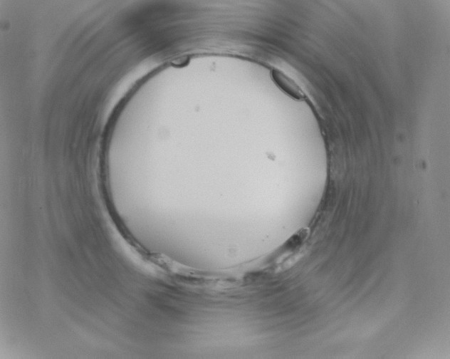 X0000077371139200611171942