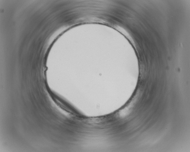 X0000077371141200611171942