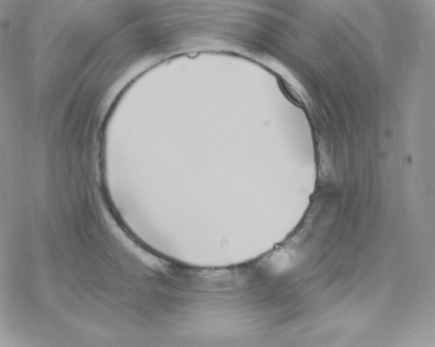 X0000077371142200611171942