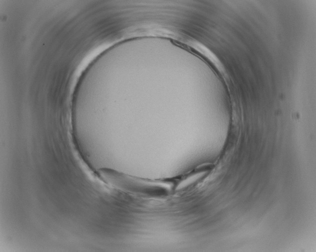 X0000077371144200611171942