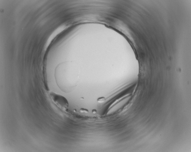 X0000077371146200611171942