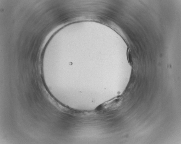 X0000077371148200611171942