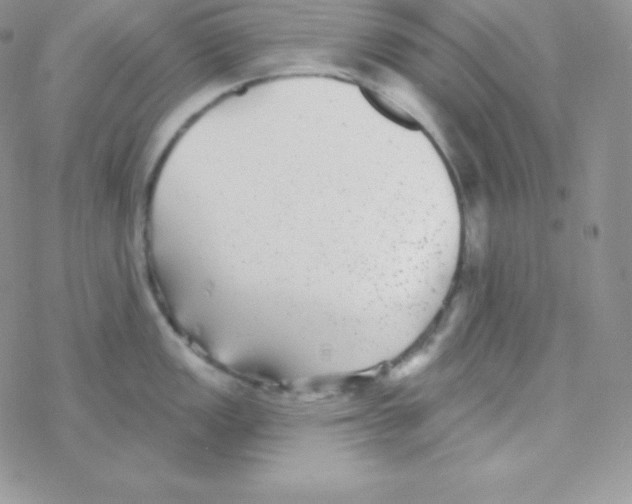 X0000077371149200611171942