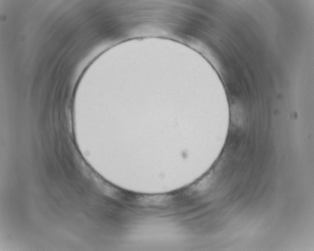 X0000077371150200611171942