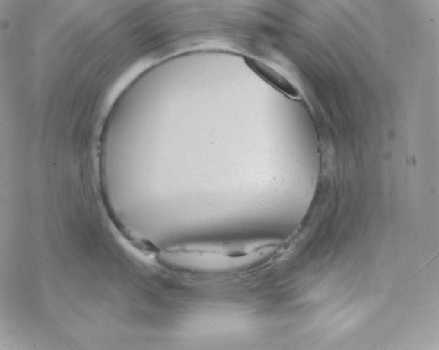 X0000077371151200611171942