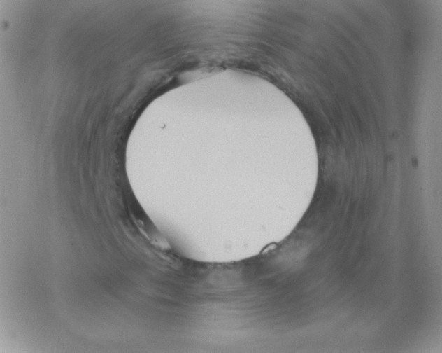 X0000077371153200611171942