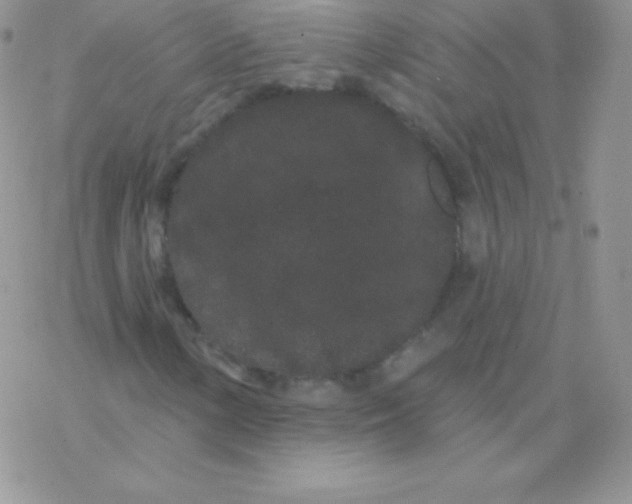 X0000077371154200611171942