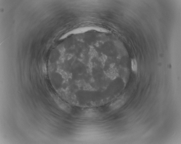 X0000077371155200611171942