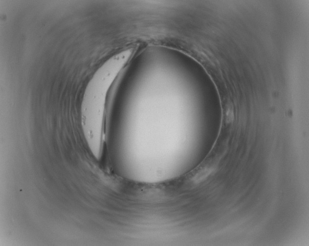 X0000077371156200611171942