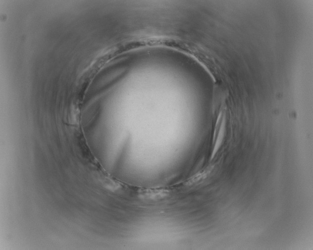 X0000077371157200611171942