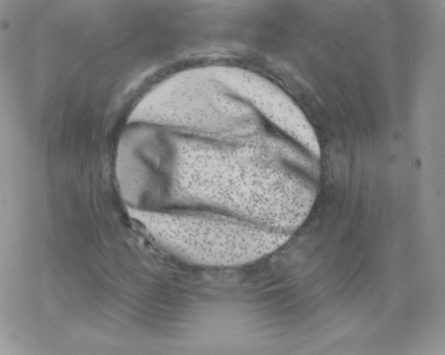 X0000077371158200611171942