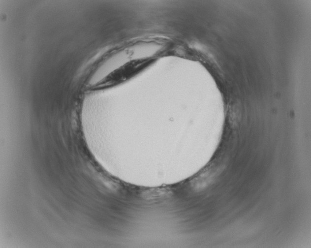 X0000077371159200611171942