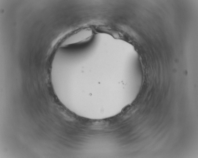 X0000077371160200611171942