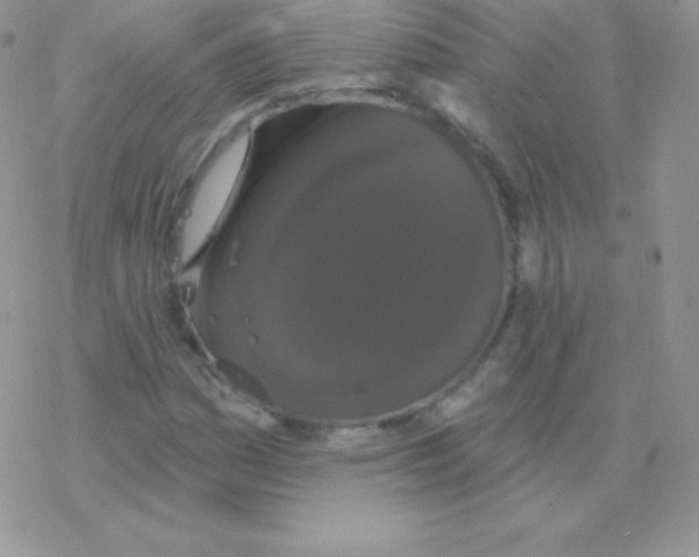 X0000077371161200611171942