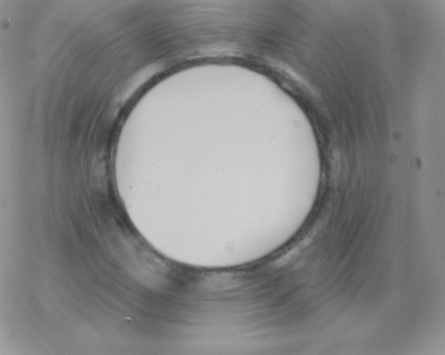 X0000077371162200611171942