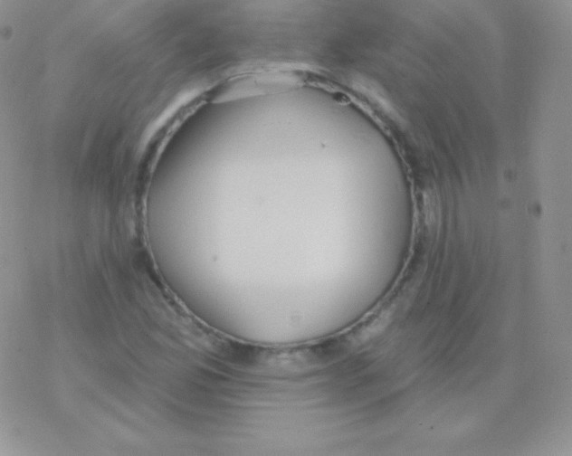 X0000077371165200611171942